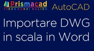 Come portare un disegno autocad su word