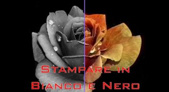 Come stampare in bianco e nero con microsoft word